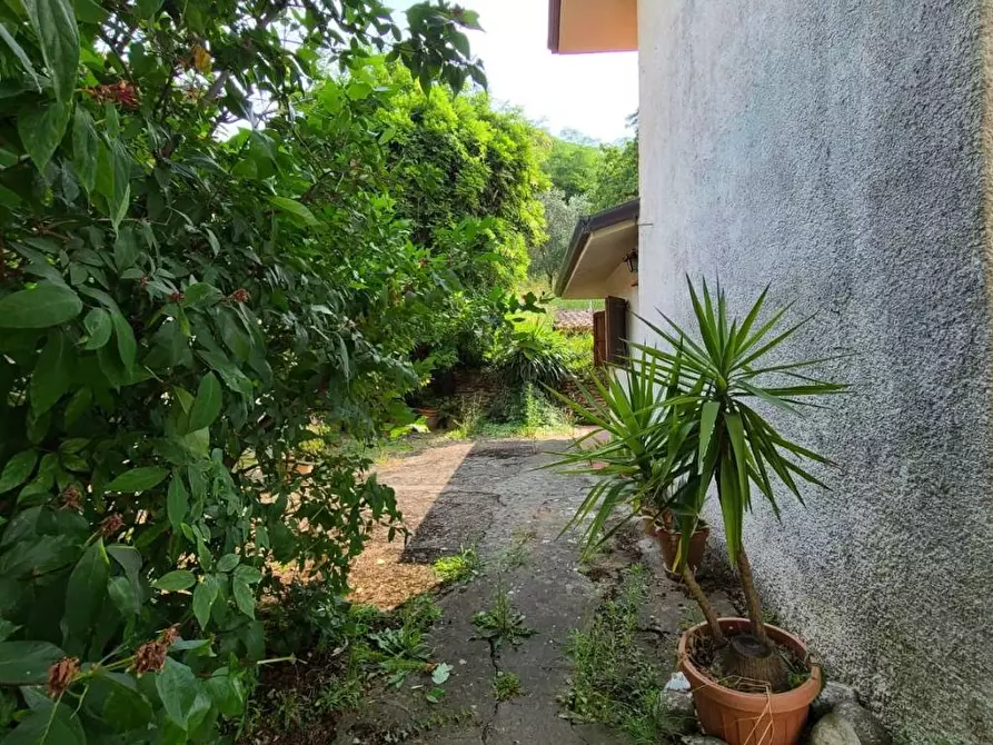 Immagine 14 di Rustico / casale in vendita  a Pietrasanta