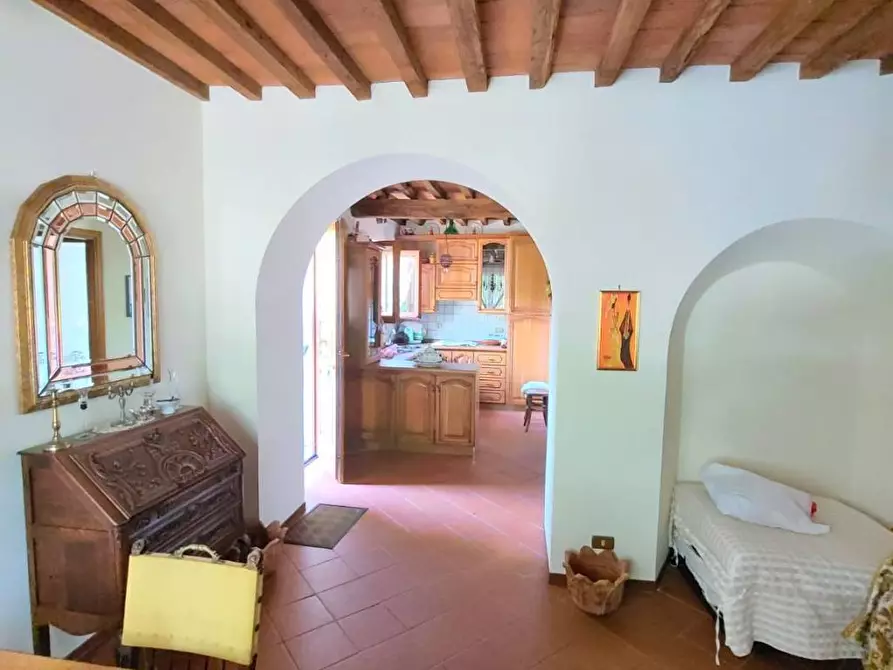 Immagine 23 di Rustico / casale in vendita  a Pietrasanta