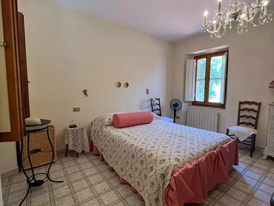 Immagine 11 di Rustico / casale in vendita  a Pietrasanta