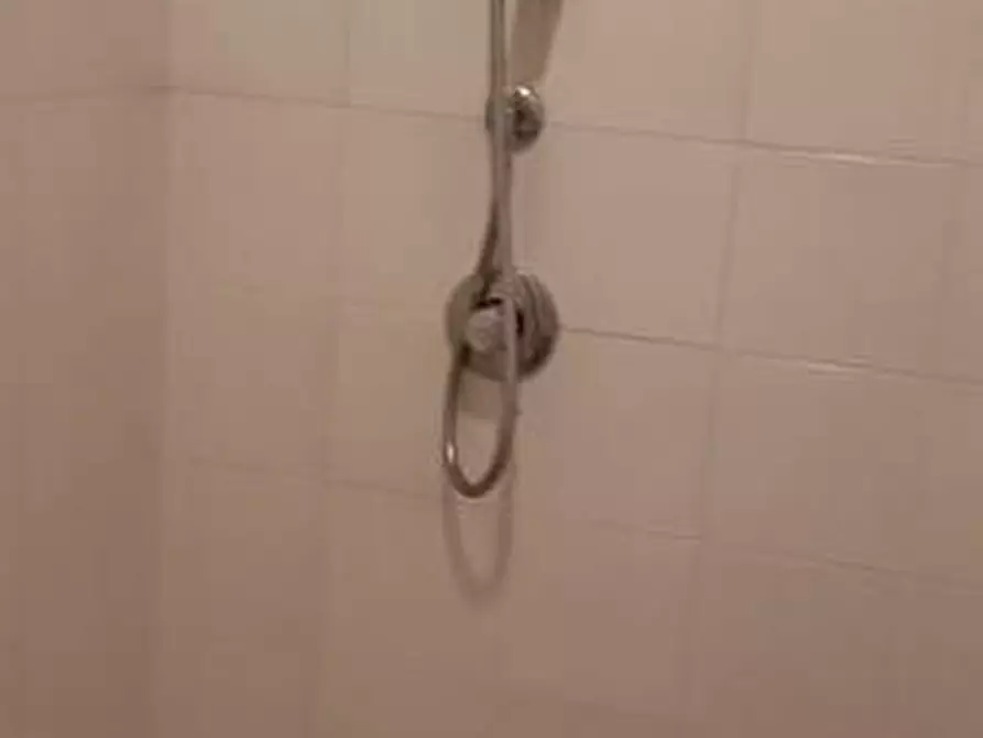 Immagine 14 di Appartamento in affitto  a Camaiore