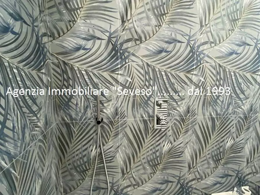 Immagine 10 di Mansarda in affitto  a Pietrasanta