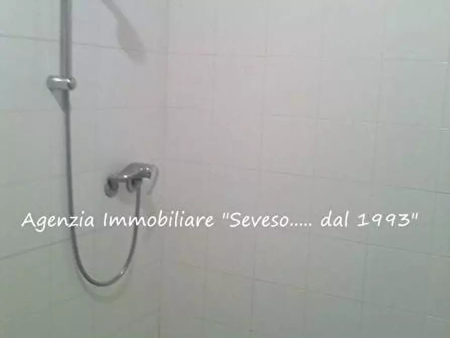 Immagine 23 di Villa in affitto  a Pietrasanta