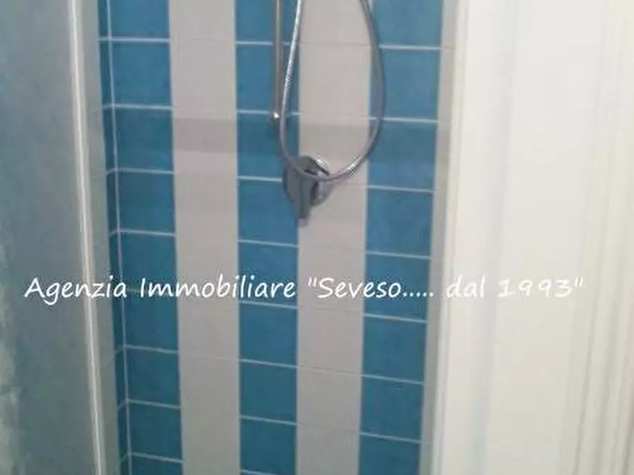 Immagine 24 di Villa in affitto  a Pietrasanta