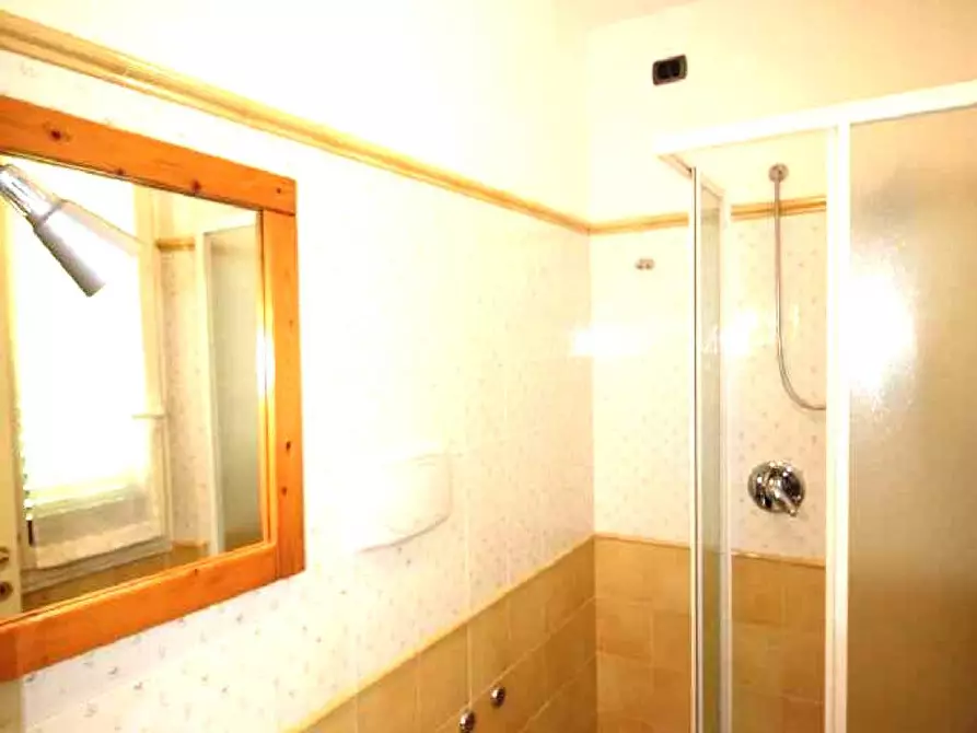 Immagine 23 di Villa in affitto  a Pietrasanta