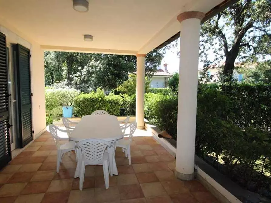 Immagine 5 di Villa in affitto  a Pietrasanta