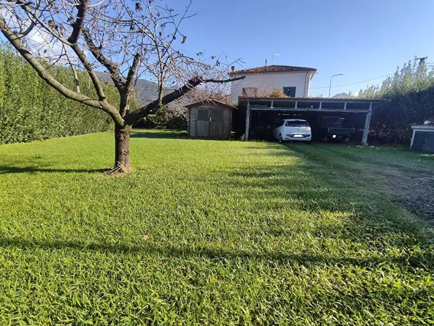 Immagine 13 di Appartamento in vendita  a Seravezza