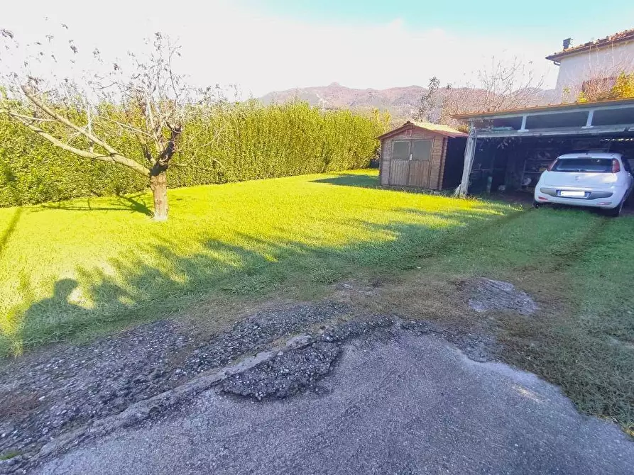 Immagine 11 di Appartamento in vendita  a Seravezza