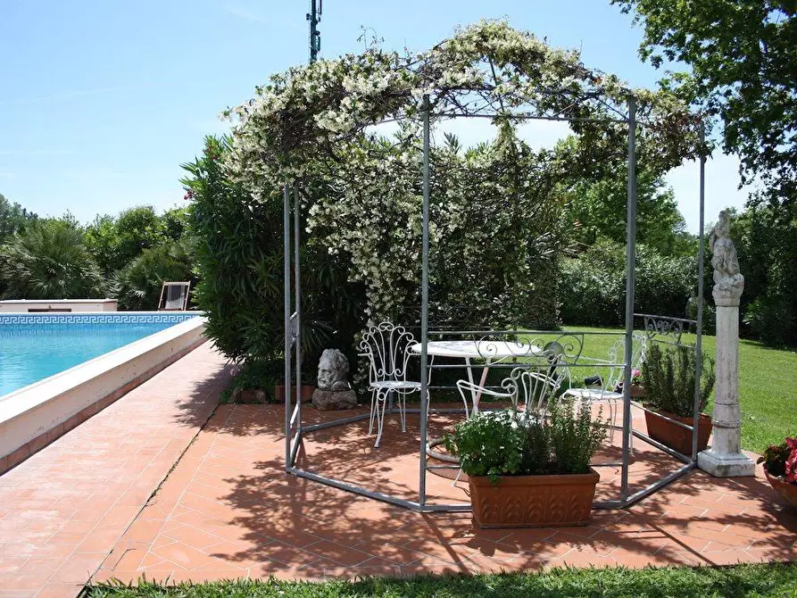 Immagine 13 di Villa in affitto  a Forte Dei Marmi