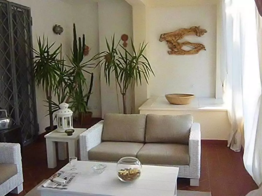 Immagine 21 di Villa in affitto  a Forte Dei Marmi