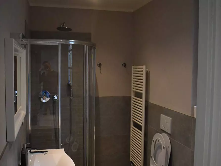 Immagine 19 di Villa in affitto  a Pietrasanta