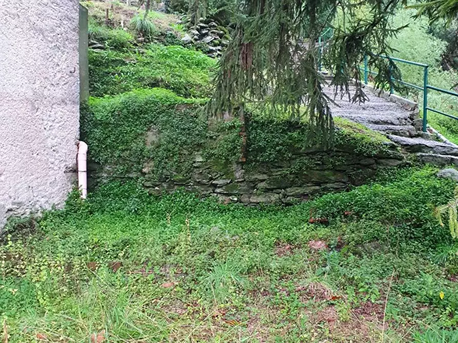 Immagine 3 di Villetta a schiera in vendita  a Seravezza