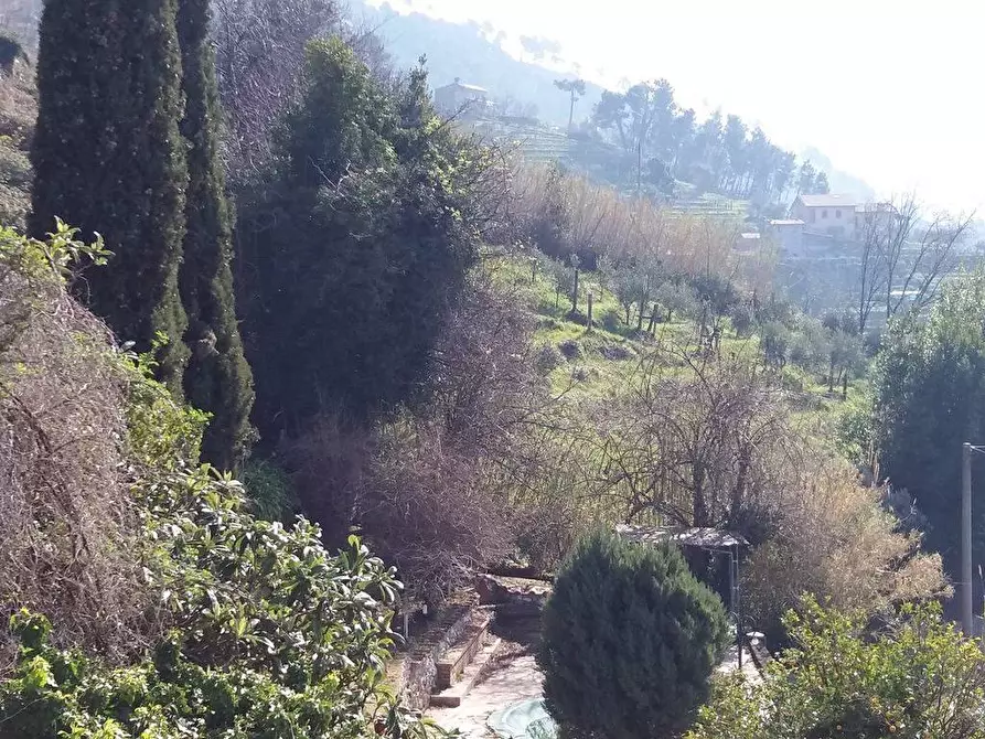 Immagine 14 di Casa bifamiliare in vendita  a Pietrasanta