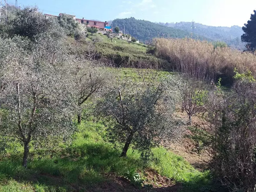 Immagine 15 di Casa bifamiliare in vendita  a Pietrasanta