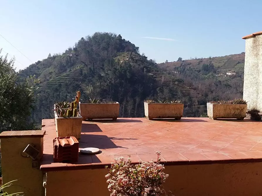 Immagine 16 di Casa bifamiliare in vendita  a Pietrasanta