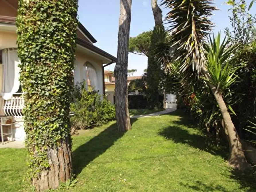 Immagine 3 di Villa in affitto  a Forte Dei Marmi