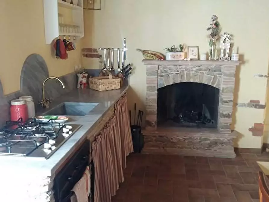 Immagine 5 di Rustico / casale in vendita  a Seravezza