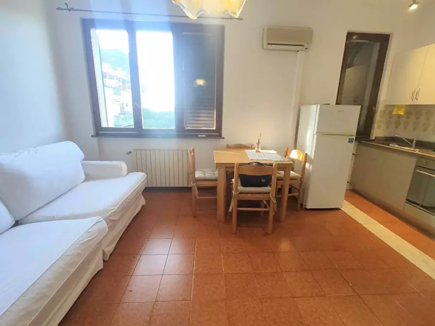 Immagine 4 di Appartamento in vendita  a Seravezza