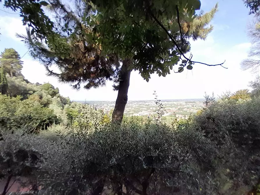 Immagine 13 di Villa in vendita  a Pietrasanta