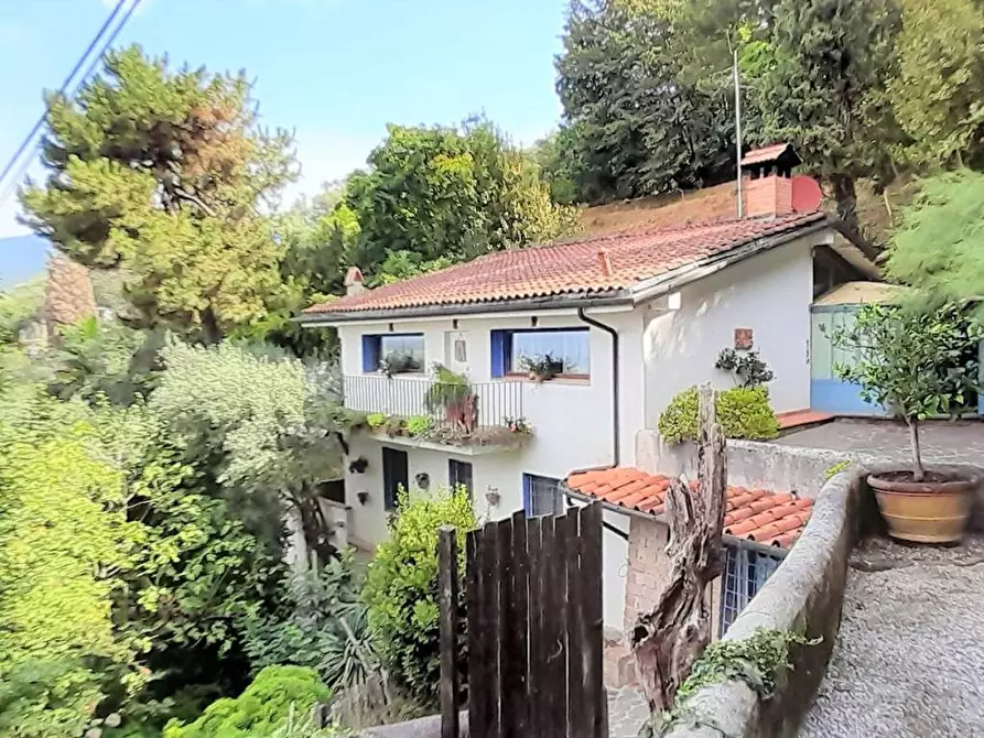 Immagine 16 di Villa in vendita  a Pietrasanta
