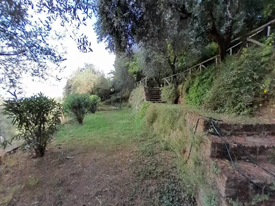 Immagine 15 di Villa in vendita  a Pietrasanta