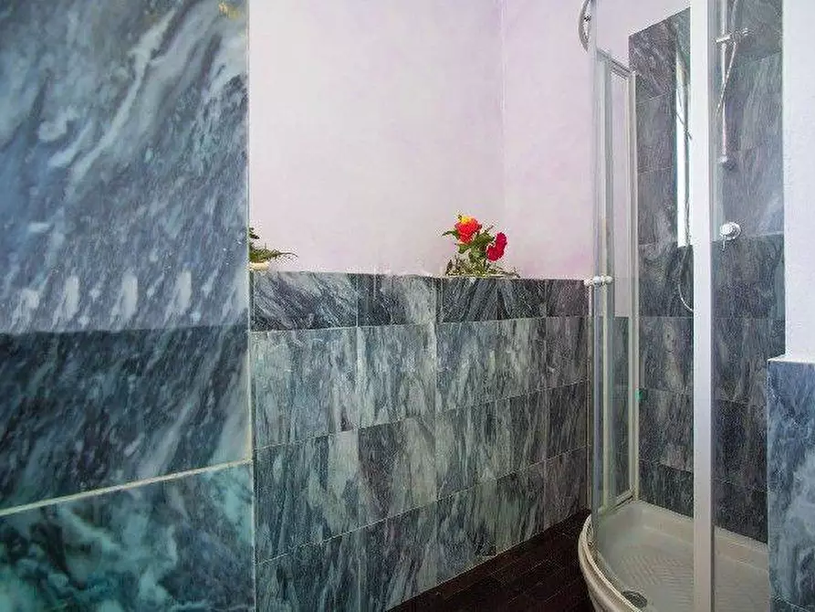 Immagine 20 di Casa colonica in affitto  a Seravezza