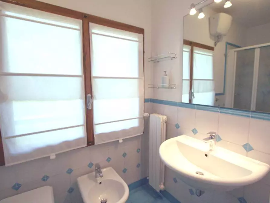 Immagine 17 di Villa in affitto  a Forte Dei Marmi