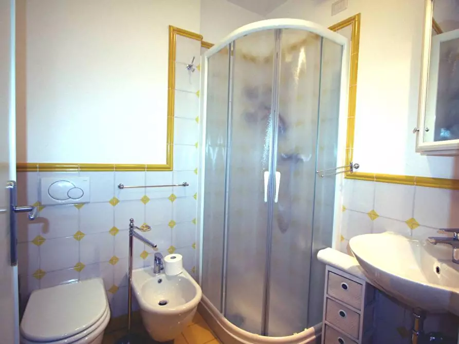 Immagine 19 di Villa in affitto  a Forte Dei Marmi