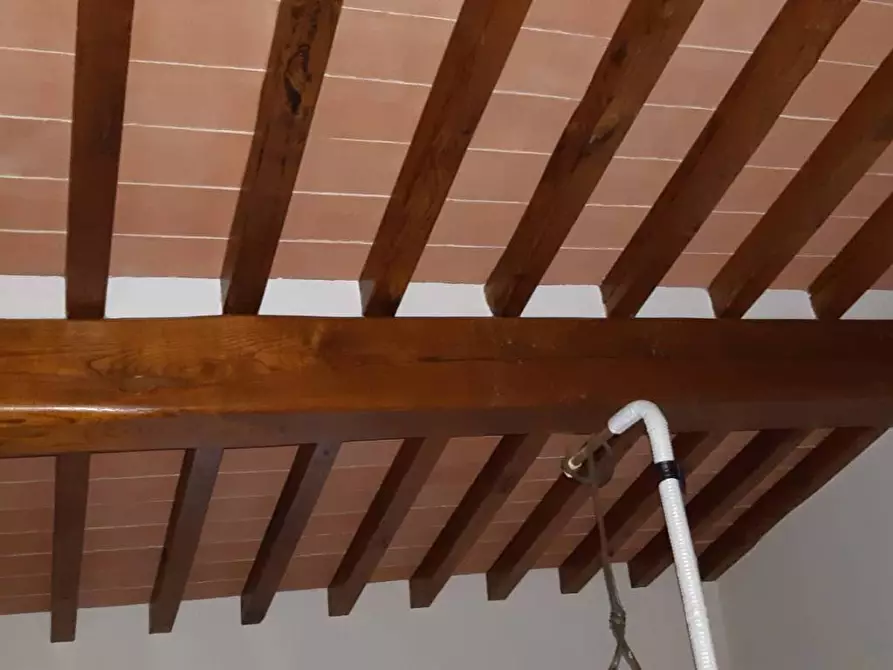 Immagine 19 di Rustico / casale in vendita  a Pietrasanta