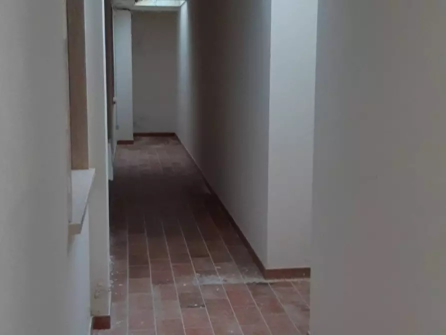 Immagine 23 di Rustico / casale in vendita  a Pietrasanta