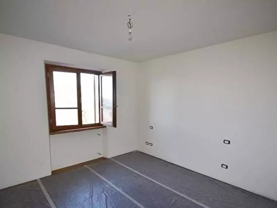 Immagine 29 di Rustico / casale in vendita  a Pietrasanta