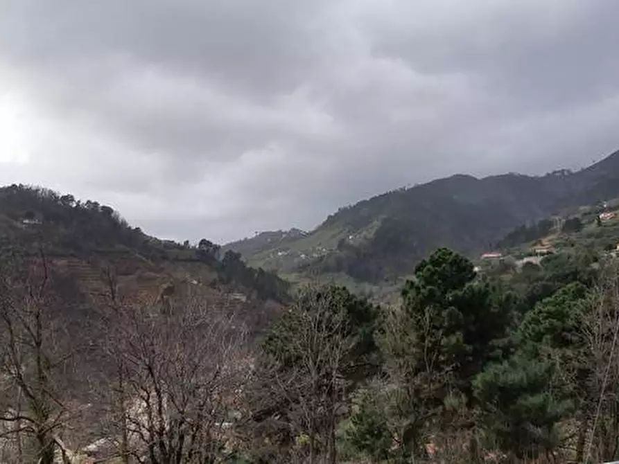 Immagine 9 di Rustico / casale in vendita  a Pietrasanta