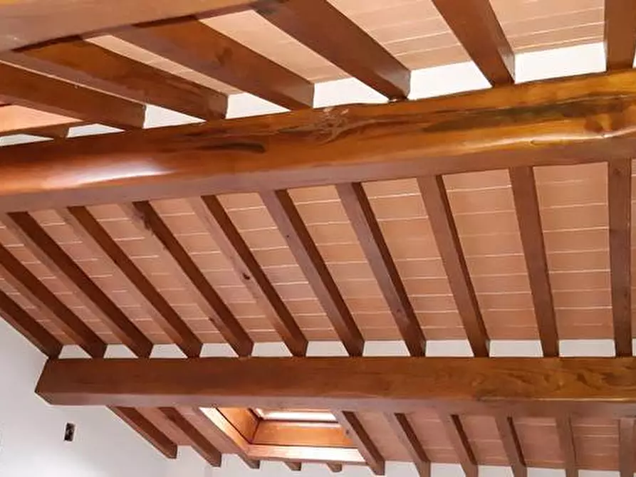 Immagine 16 di Rustico / casale in vendita  a Pietrasanta