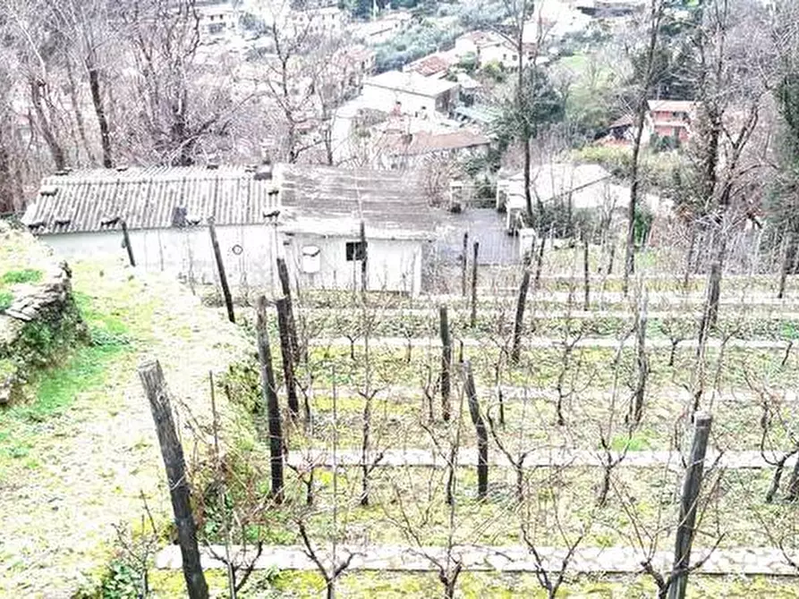 Immagine 10 di Rustico / casale in vendita  a Pietrasanta