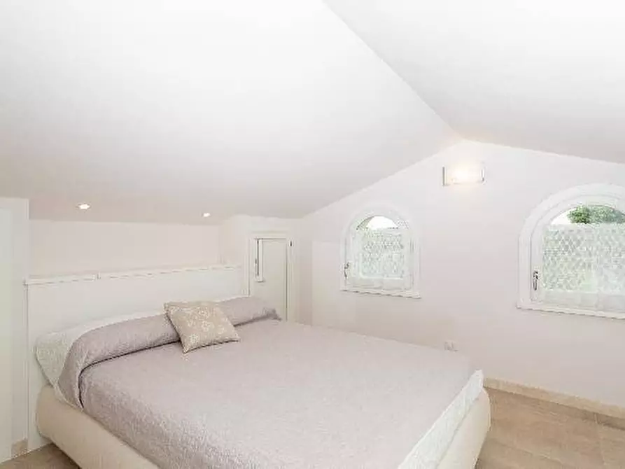 Immagine 15 di Villa in affitto  a Forte Dei Marmi