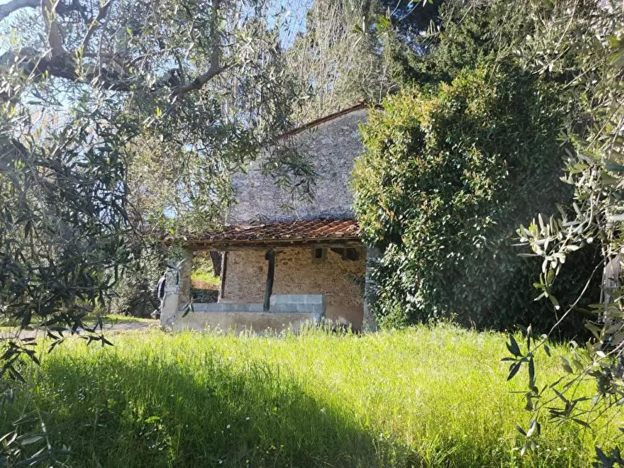 Immagine 16 di Rustico / casale in vendita  a Pescaglia