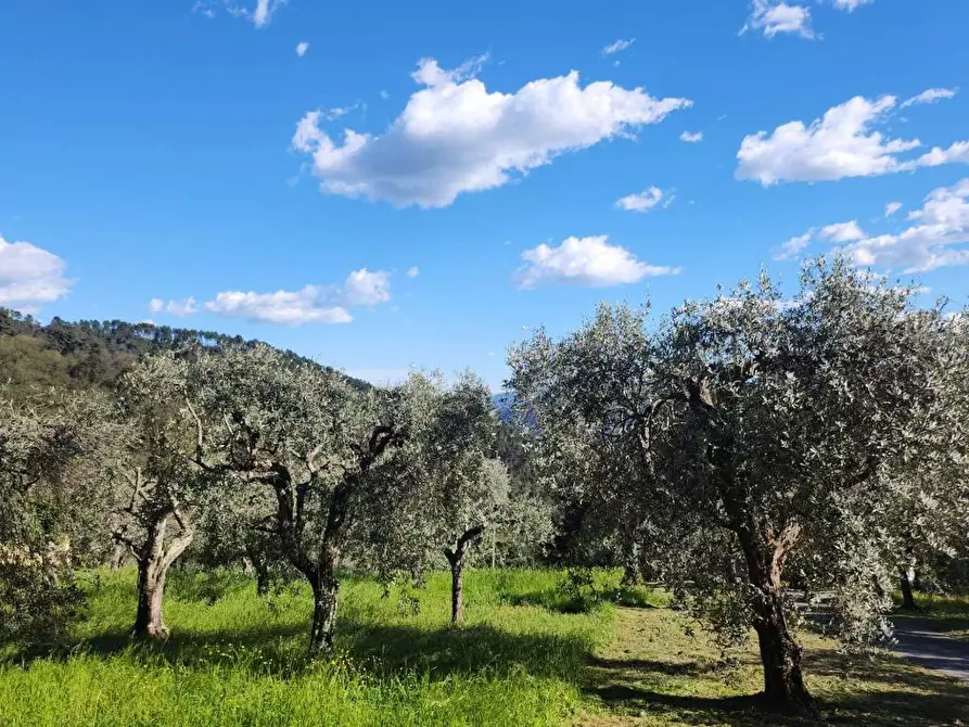 Immagine 38 di Rustico / casale in vendita  a Pescaglia