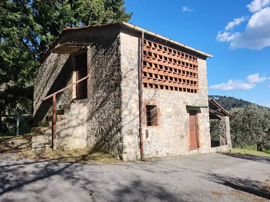 Immagine 18 di Rustico / casale in vendita  a Pescaglia