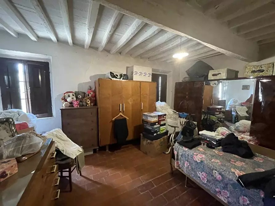 Immagine 14 di Terratetto in vendita  a Porcari