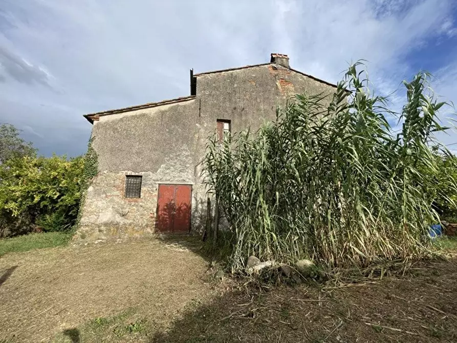 Immagine 18 di Terratetto in vendita  a Porcari