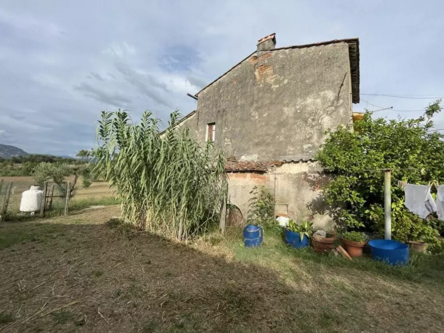 Immagine 17 di Terratetto in vendita  a Porcari