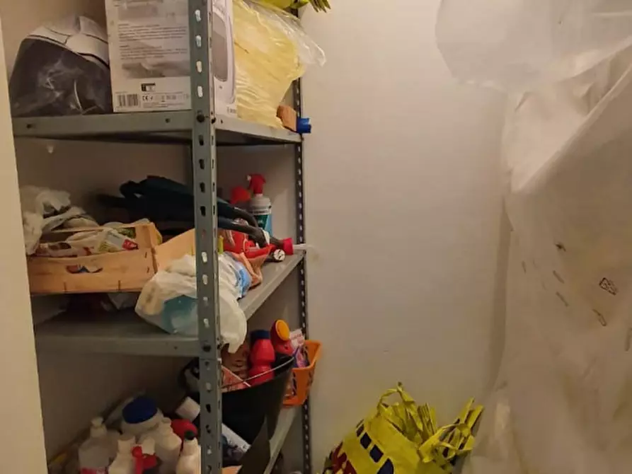 Immagine 5 di Appartamento in vendita  a Capannori