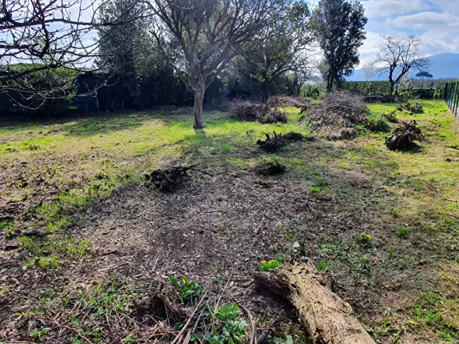 Immagine 3 di Deposito in vendita  a Lucca