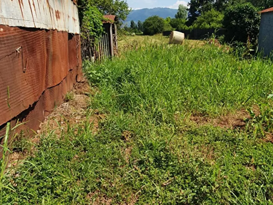 Immagine 16 di Terratetto in vendita  a Capannori