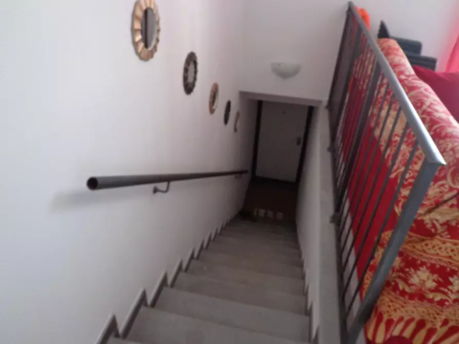 Immagine 7 di Appartamento in affitto  a Castagneto Carducci