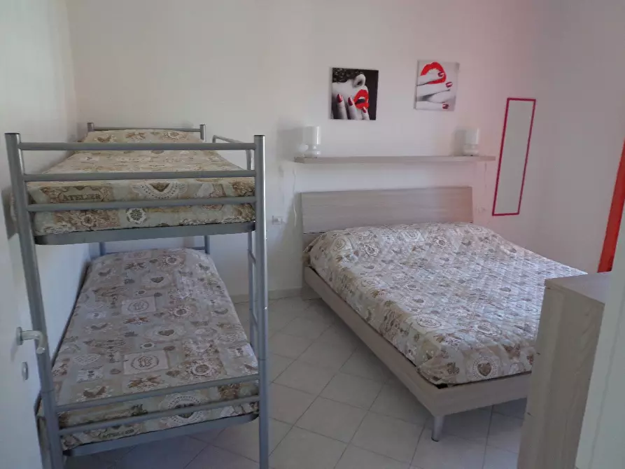 Immagine 10 di Appartamento in affitto  a Castagneto Carducci