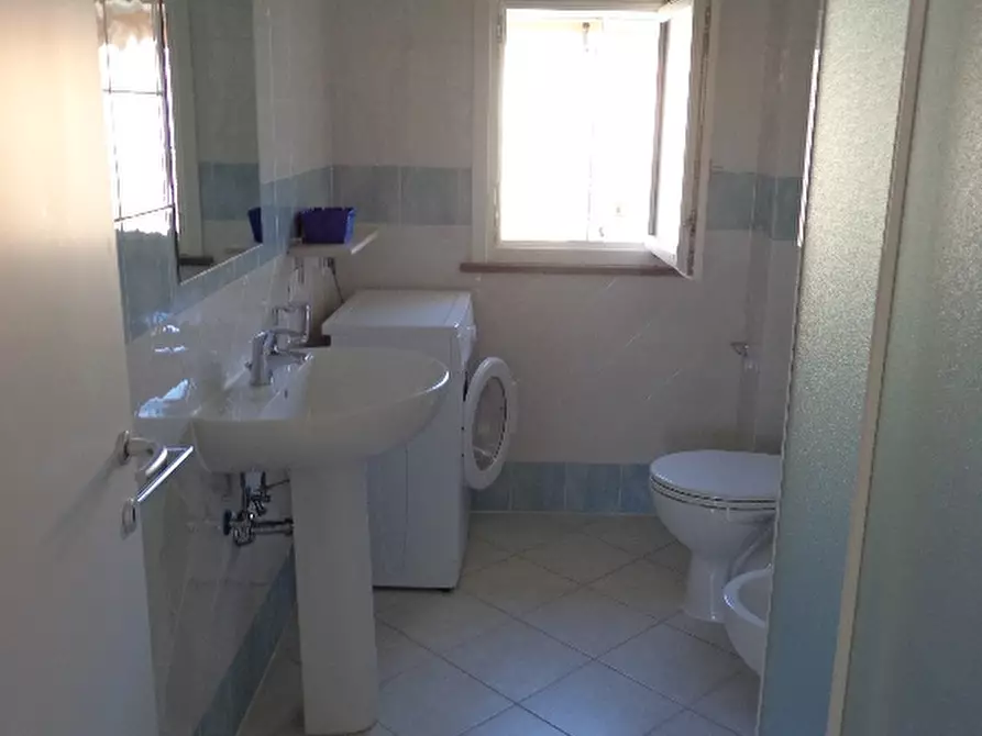 Immagine 14 di Appartamento in affitto  a Castagneto Carducci