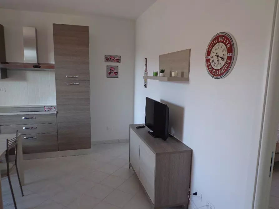 Immagine 8 di Appartamento in affitto  a Castagneto Carducci