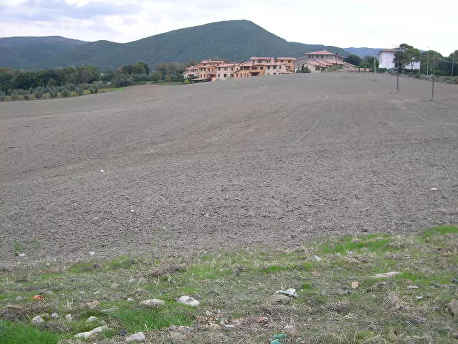 Immagine 6 di Terreno residenziale in vendita  a Santa Luce