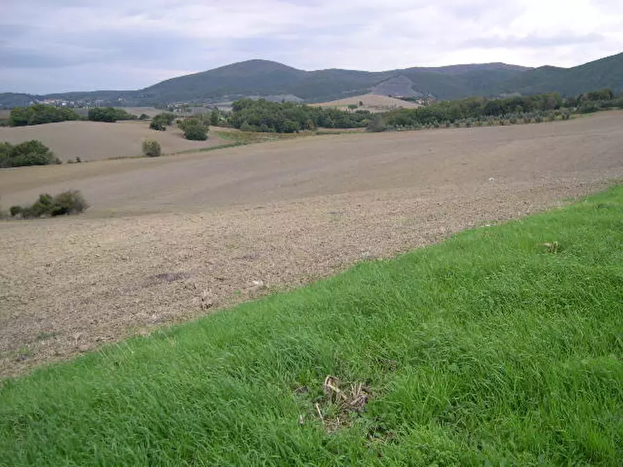 Immagine 3 di Terreno residenziale in vendita  a Santa Luce