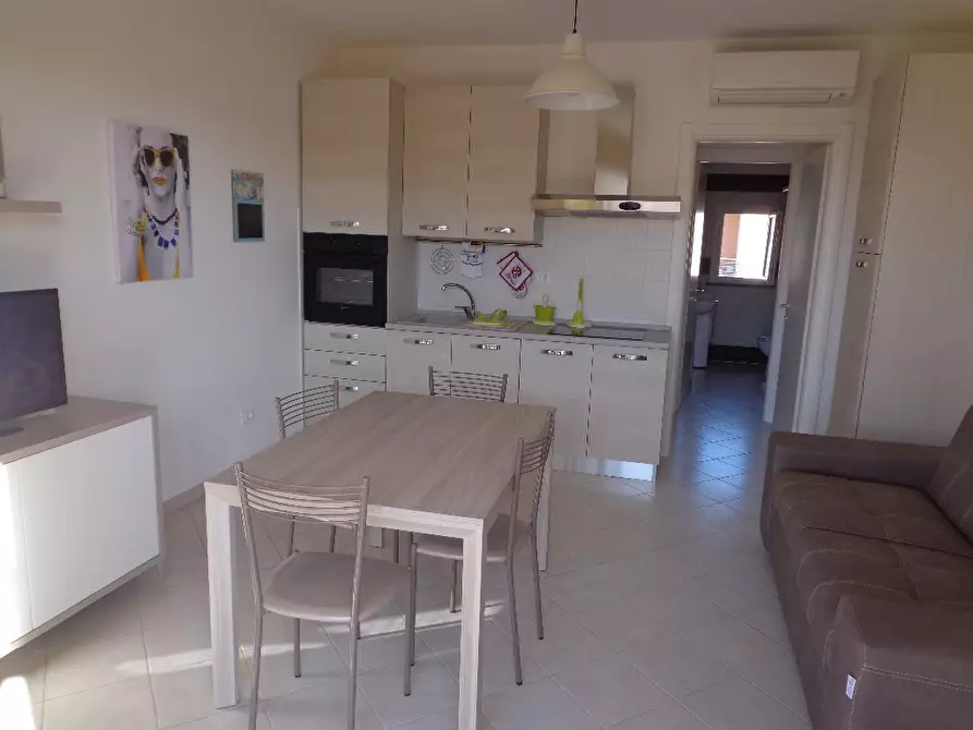 Immagine 13 di Appartamento in affitto  a Castagneto Carducci